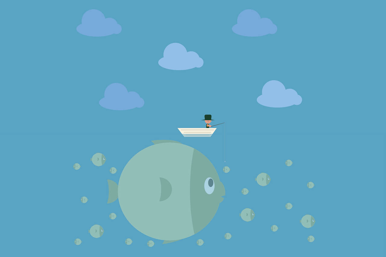 daily_summer last day